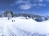 The enchanting beauty of a snow-covered landscape